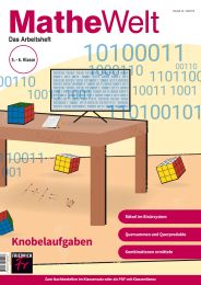 Mathe-Welt ML 245