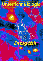 Energetik